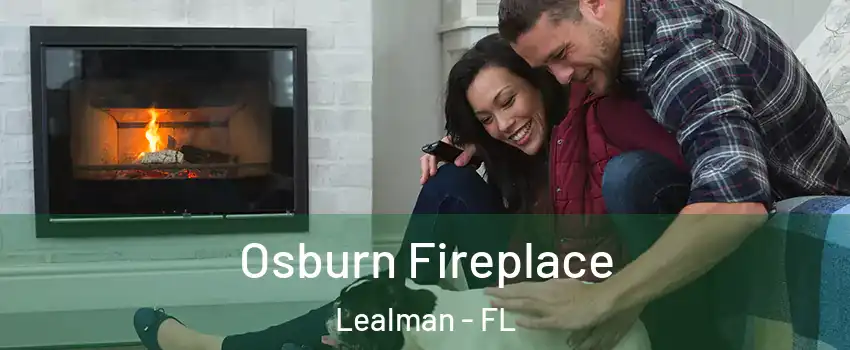  Osburn Fireplace Lealman - FL