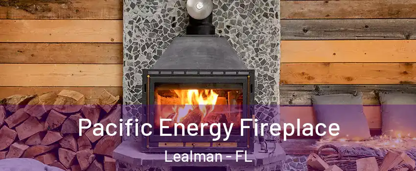  Pacific Energy Fireplace Lealman - FL