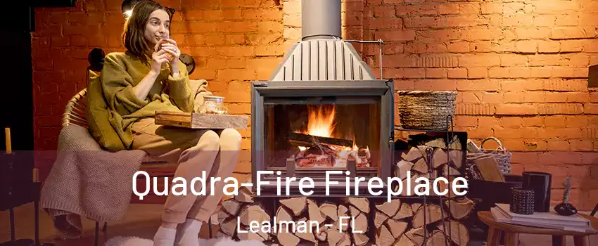  Quadra-Fire Fireplace Lealman - FL