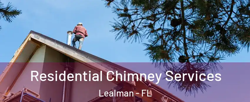  Residential Chimney Services Lealman - FL