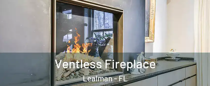  Ventless Fireplace Lealman - FL
