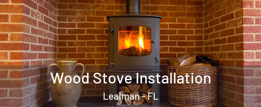  Wood Stove Installation Lealman - FL