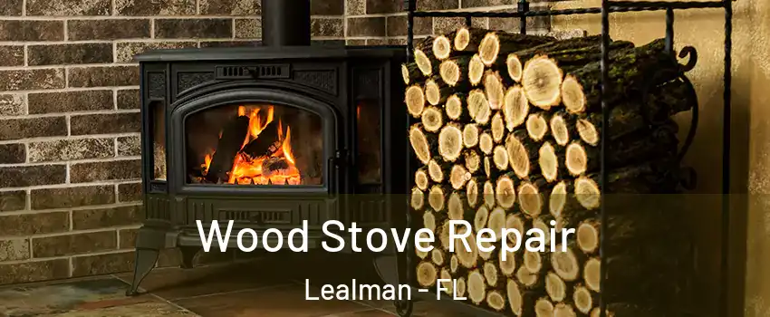  Wood Stove Repair Lealman - FL